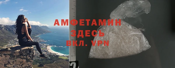 индика Абаза