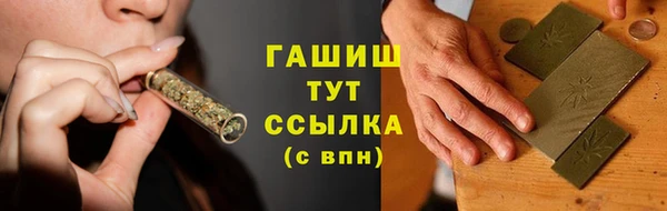 индика Абаза