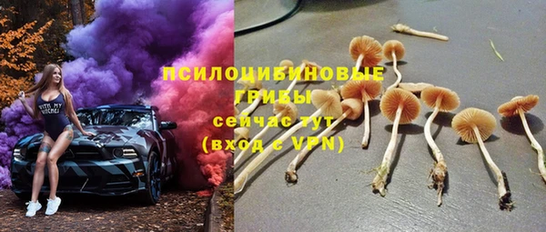 индика Абаза