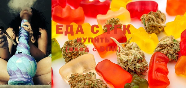 индика Абаза