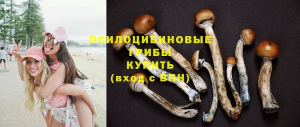 apvp Абдулино