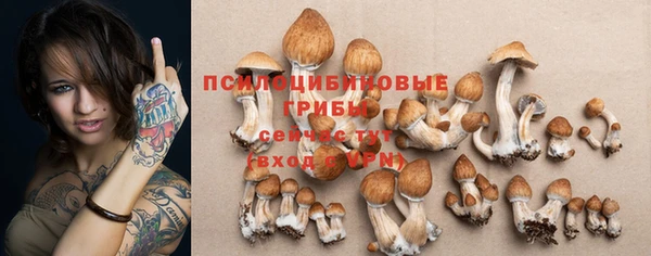 индика Абаза