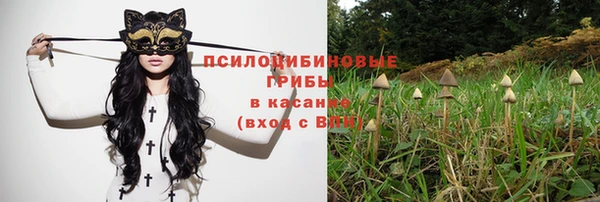 индика Абаза