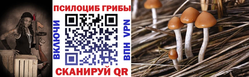Галлюциногенные грибы мицелий mega маркетплейс Дмитровск