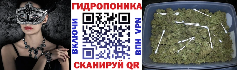 где найти наркотики  Дмитровск  ОМГ ОМГ ТОР  Канабис Amnesia 